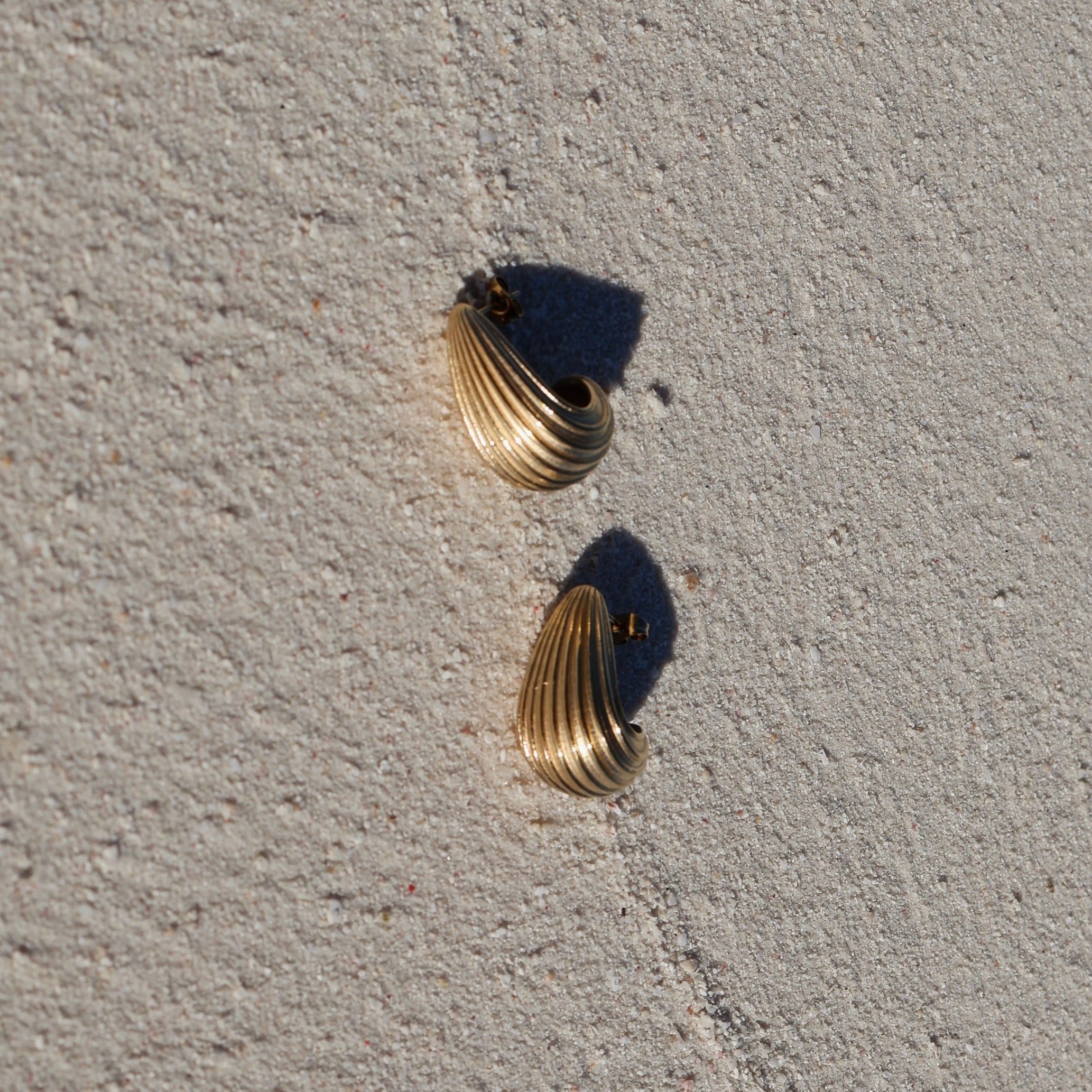 Shell oorbellen
