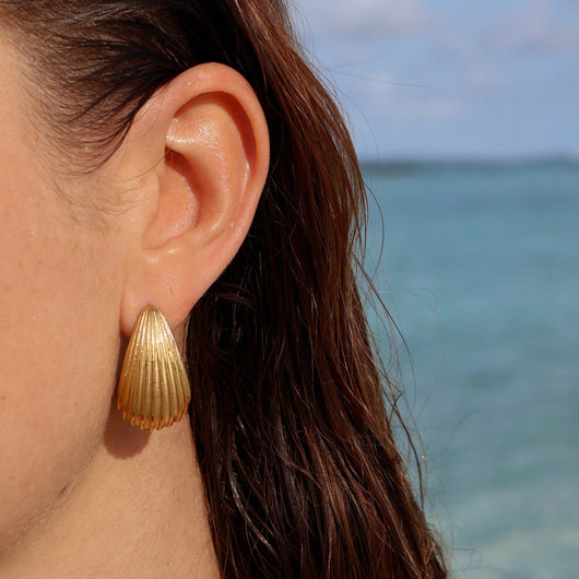 Shell Earstuds 