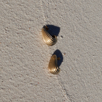 Shell Earstuds 
