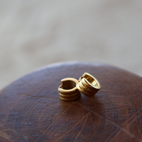 Small Clip Earrings